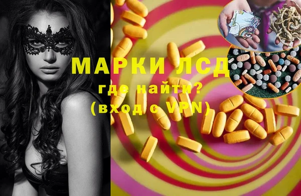 индика Армянск