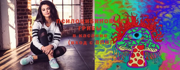 ПСИЛОЦИБИНОВЫЕ ГРИБЫ Аркадак