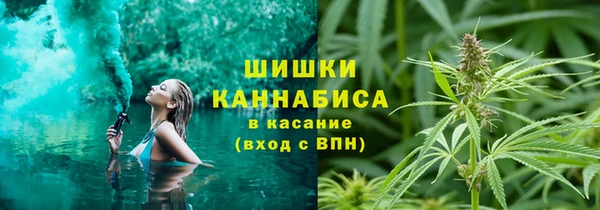 ПСИЛОЦИБИНОВЫЕ ГРИБЫ Аркадак
