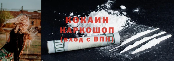 индика Армянск
