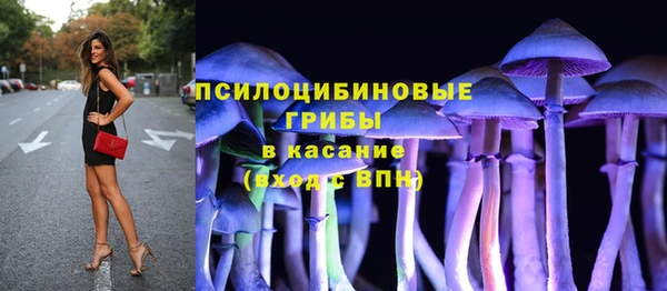 индика Армянск