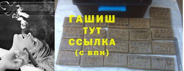 индика Армянск
