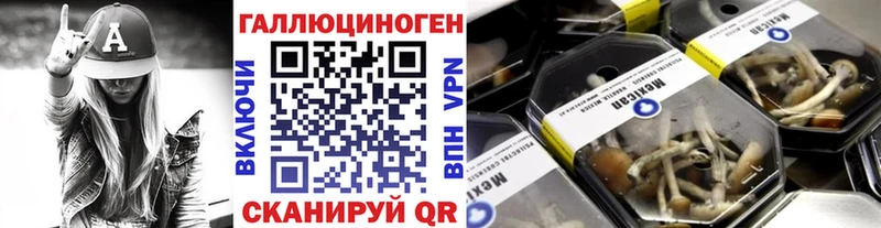 Галлюциногенные грибы Cubensis  Купить  Геленджик 